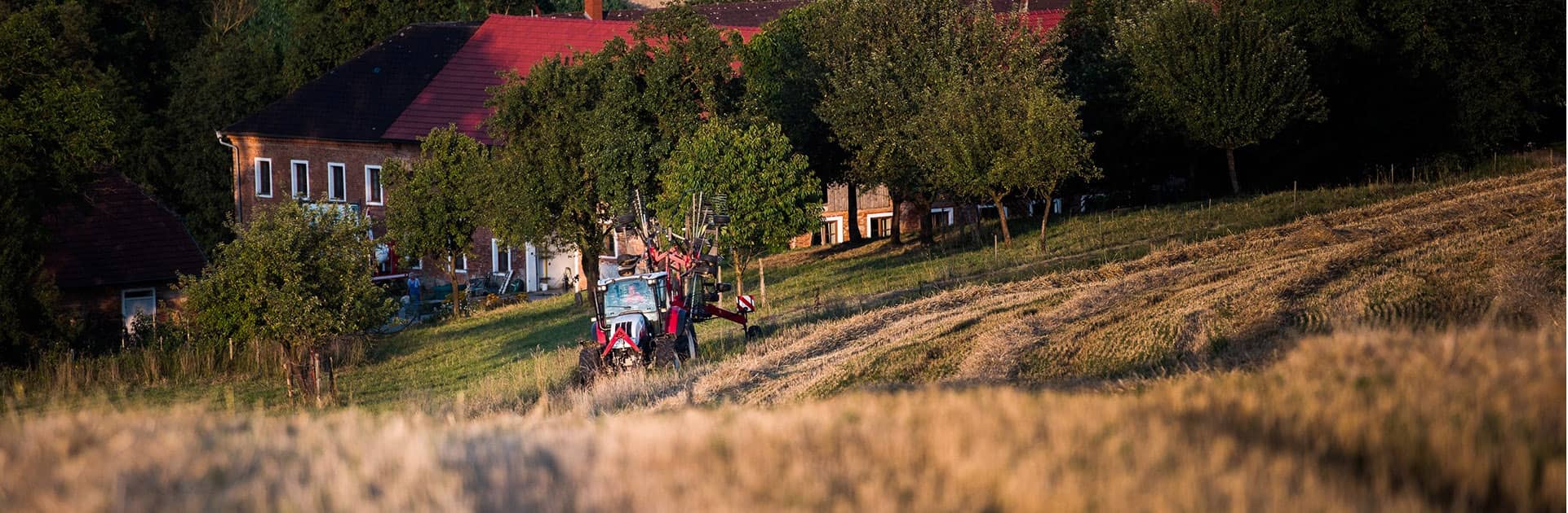 Biologische Landwirtschaft bei den Hoflieferanten