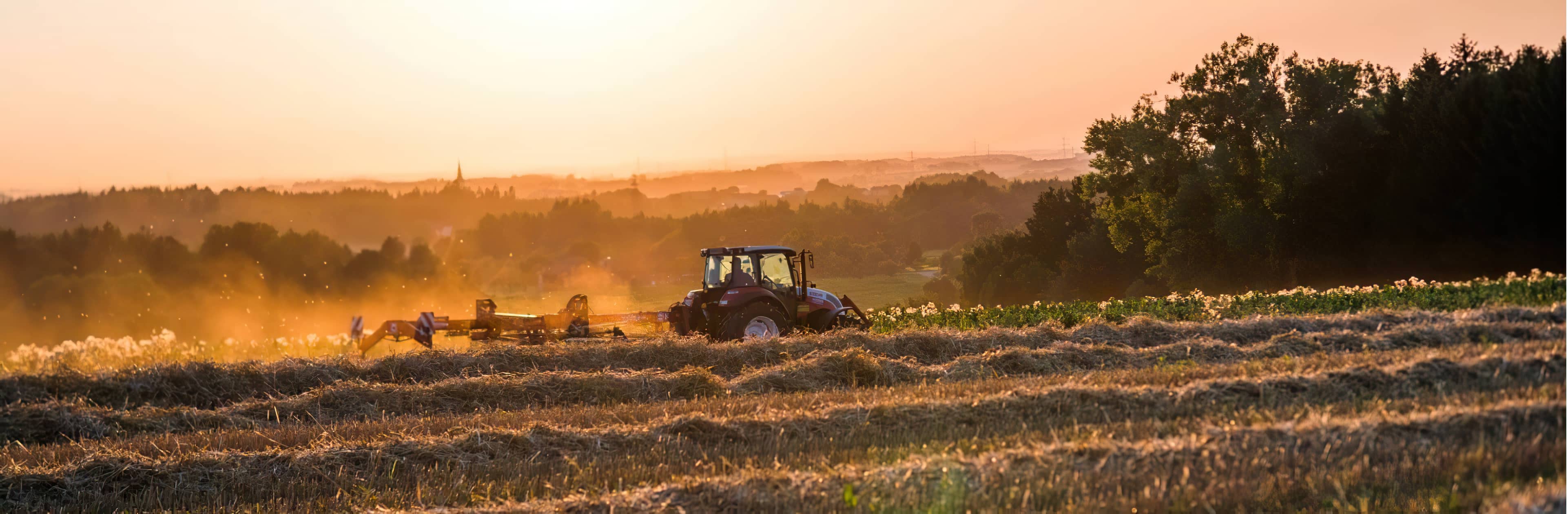 Hoflieferanten Traktor im Sonnenuntergang auf Bio-Feld